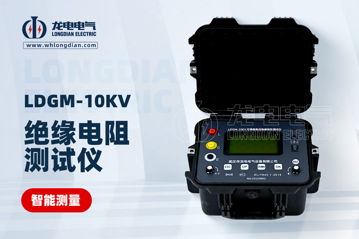 LDGM-10KV 绝缘电阻测试仪